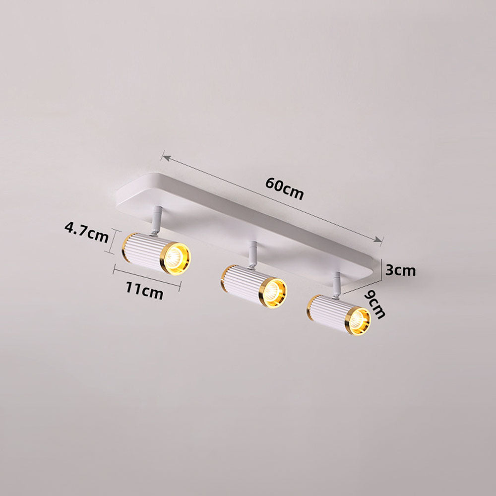 Celzilo Ceiling Light