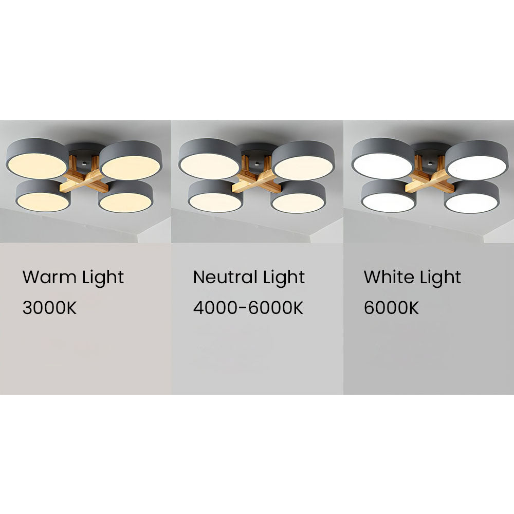 Finizaro Ceiling Light