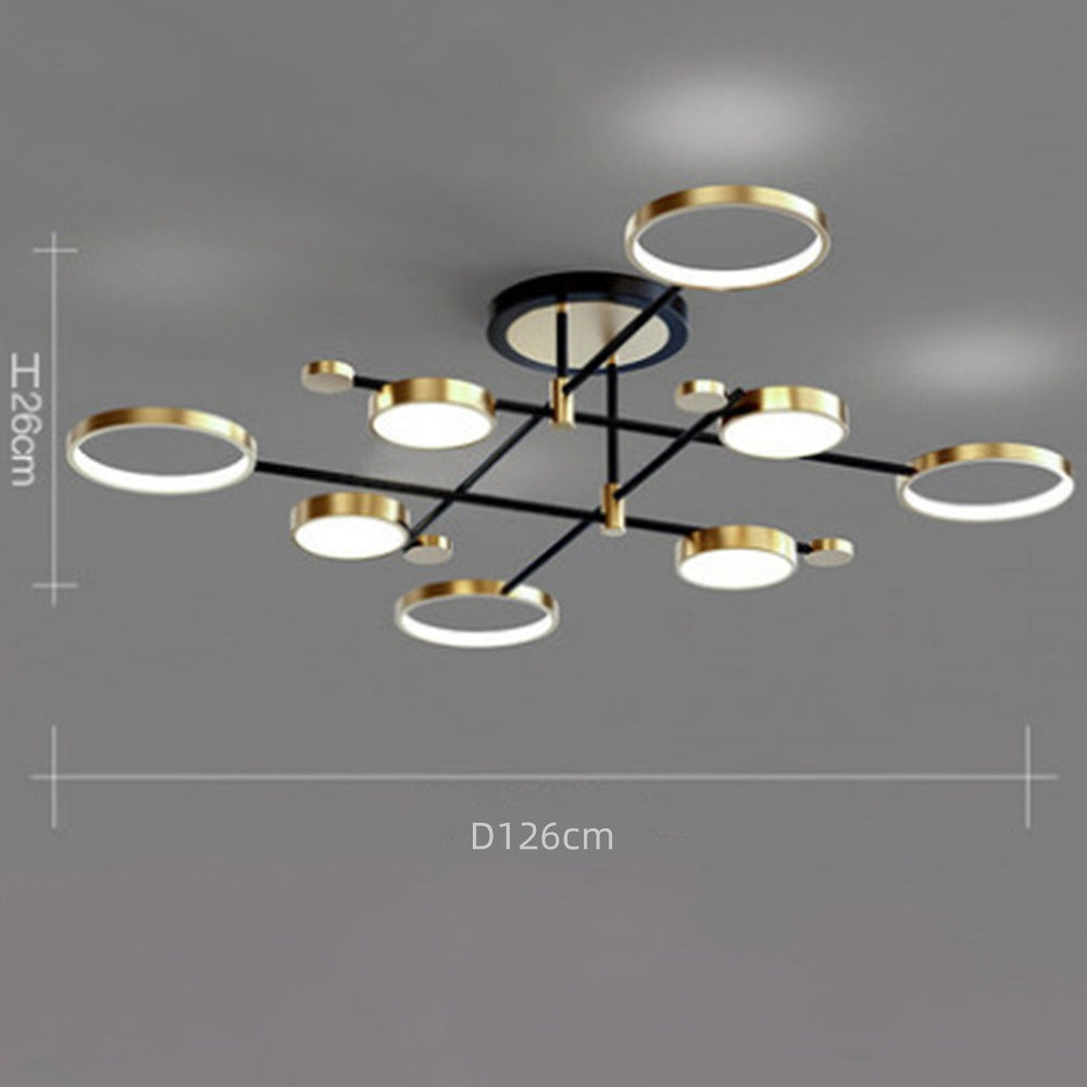 Selyz Ring Design Ceiling Light