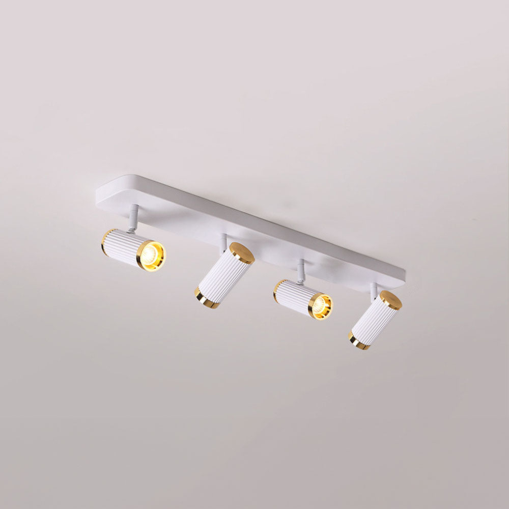 Celzilo Ceiling Light