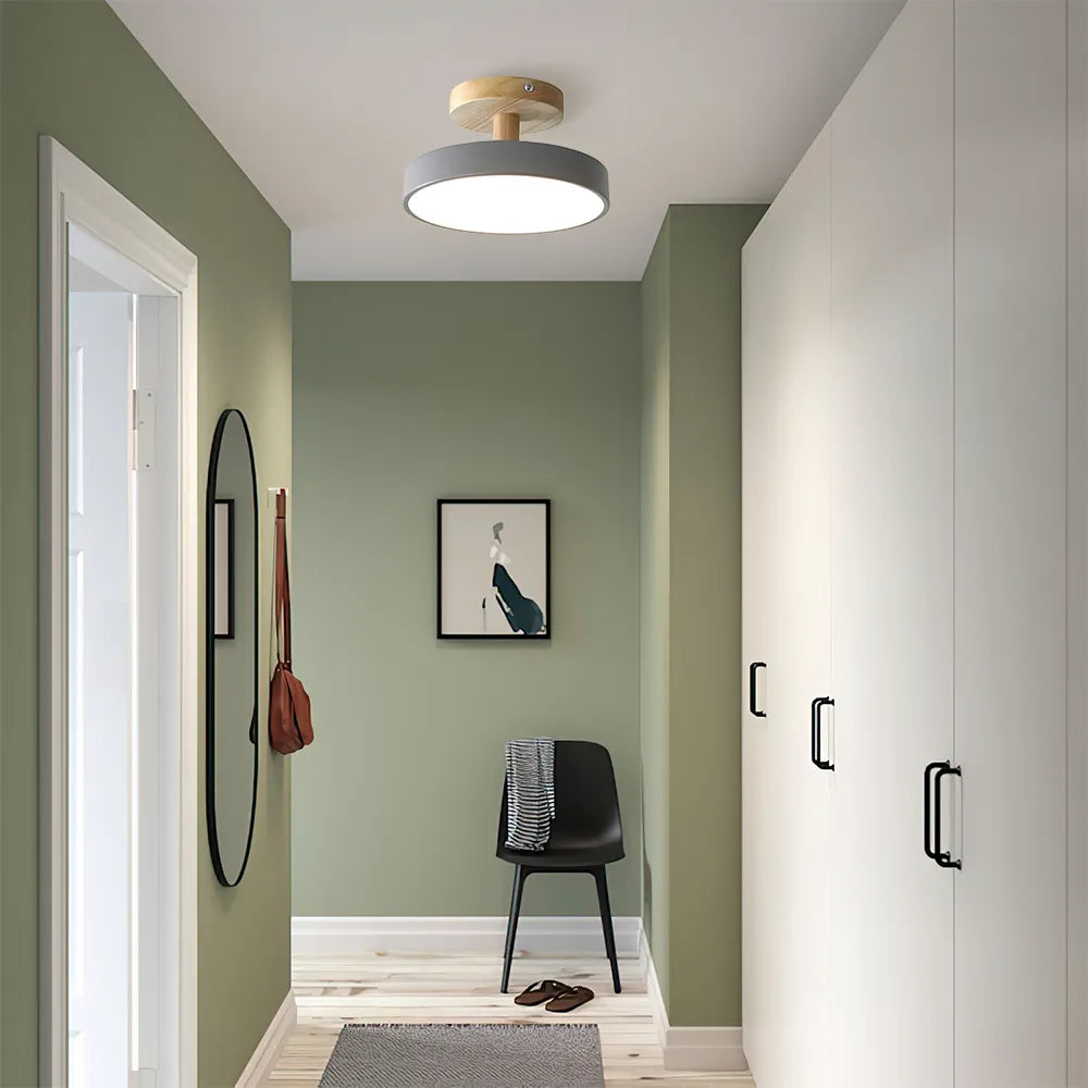Pedol Ceiling Light