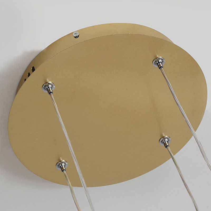 Lorenna Ring Pendant Light