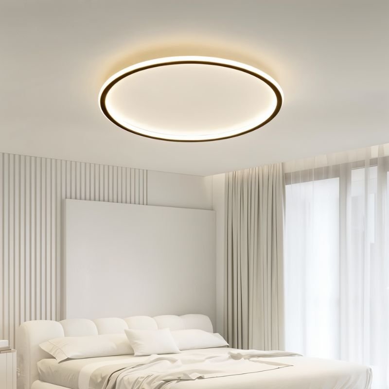 Circull Ceiling Light
