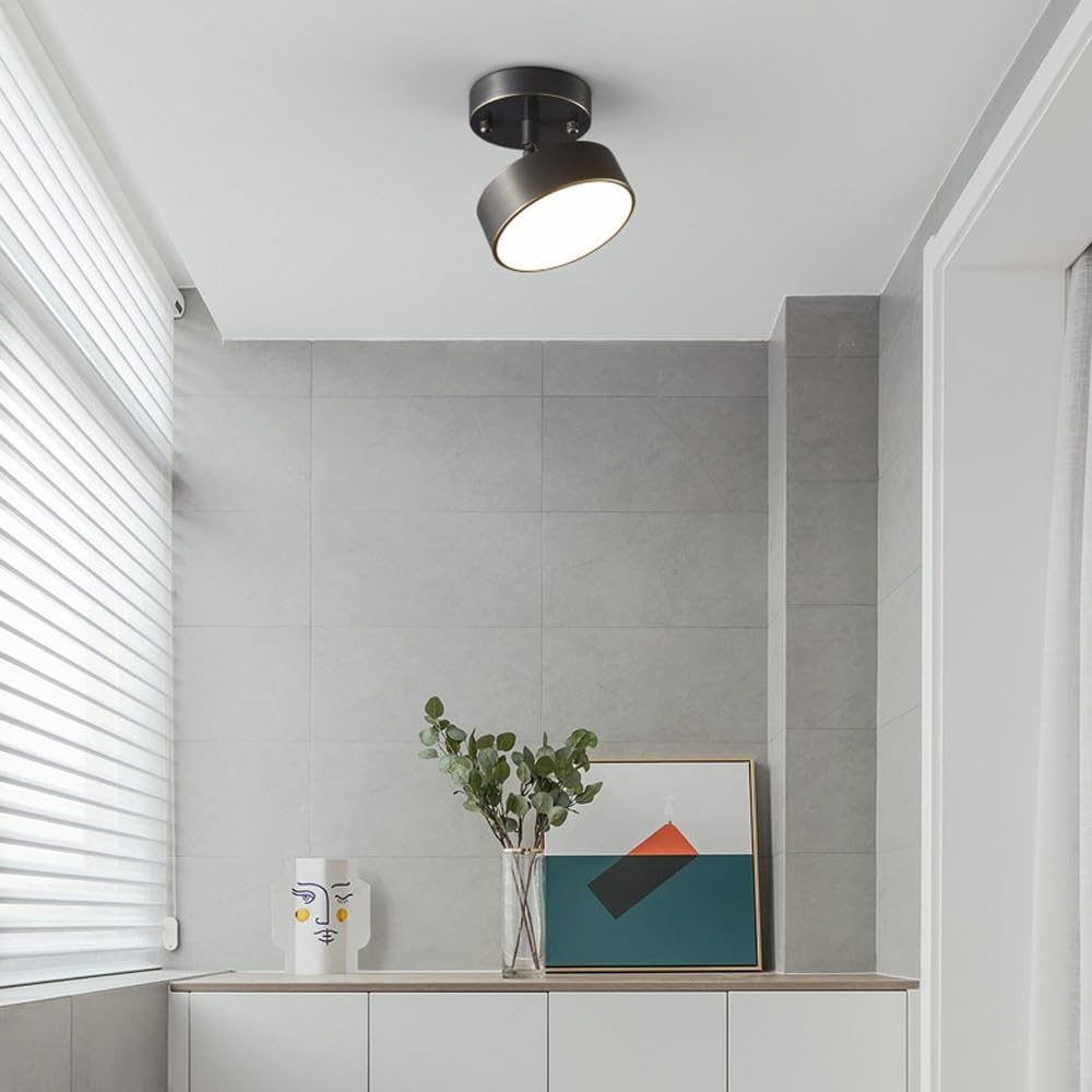 Niznaro Ceiling Light