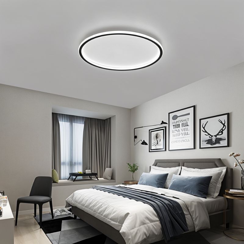 Circull Ceiling Light