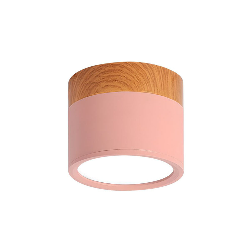 Cylinder Small Ceiling Light
