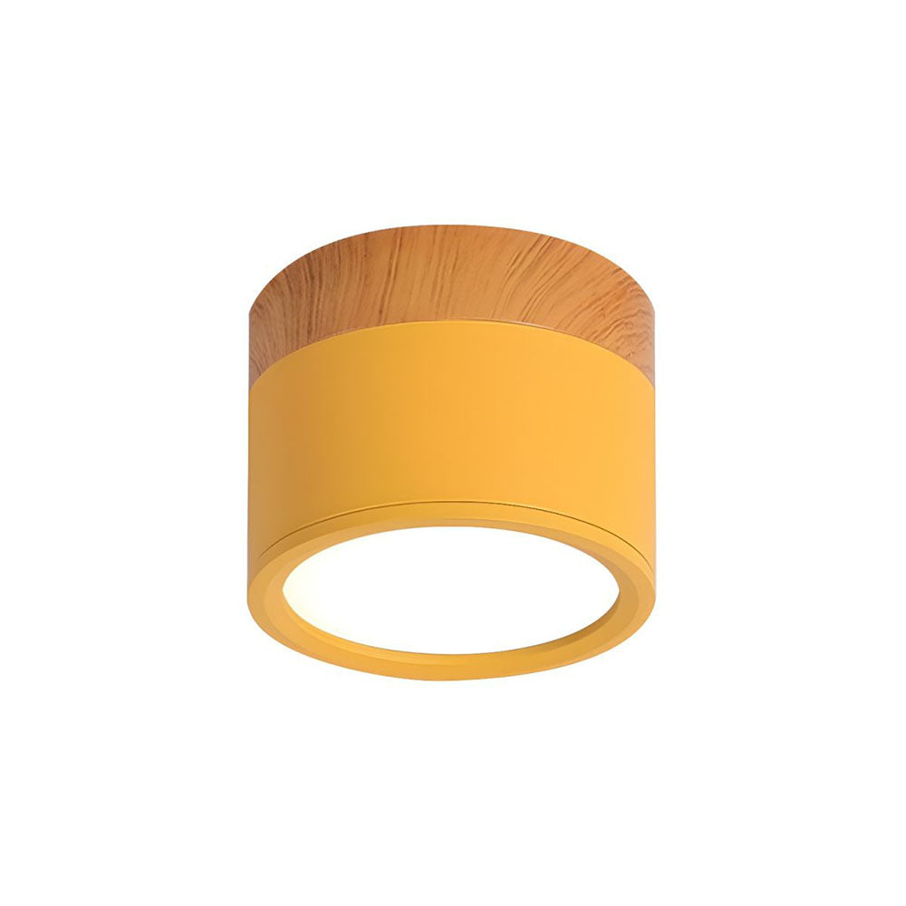 Cylinder Small Ceiling Light