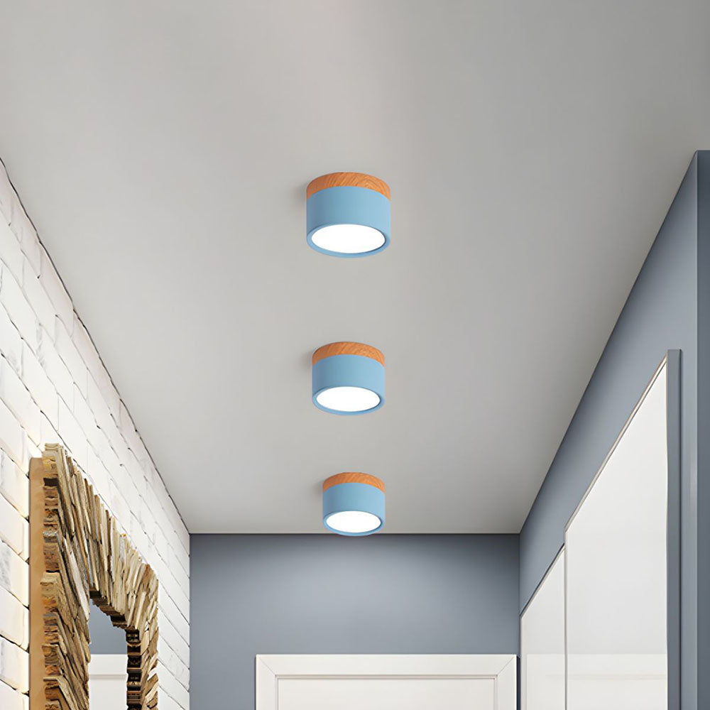 Cylinder Small Ceiling Light