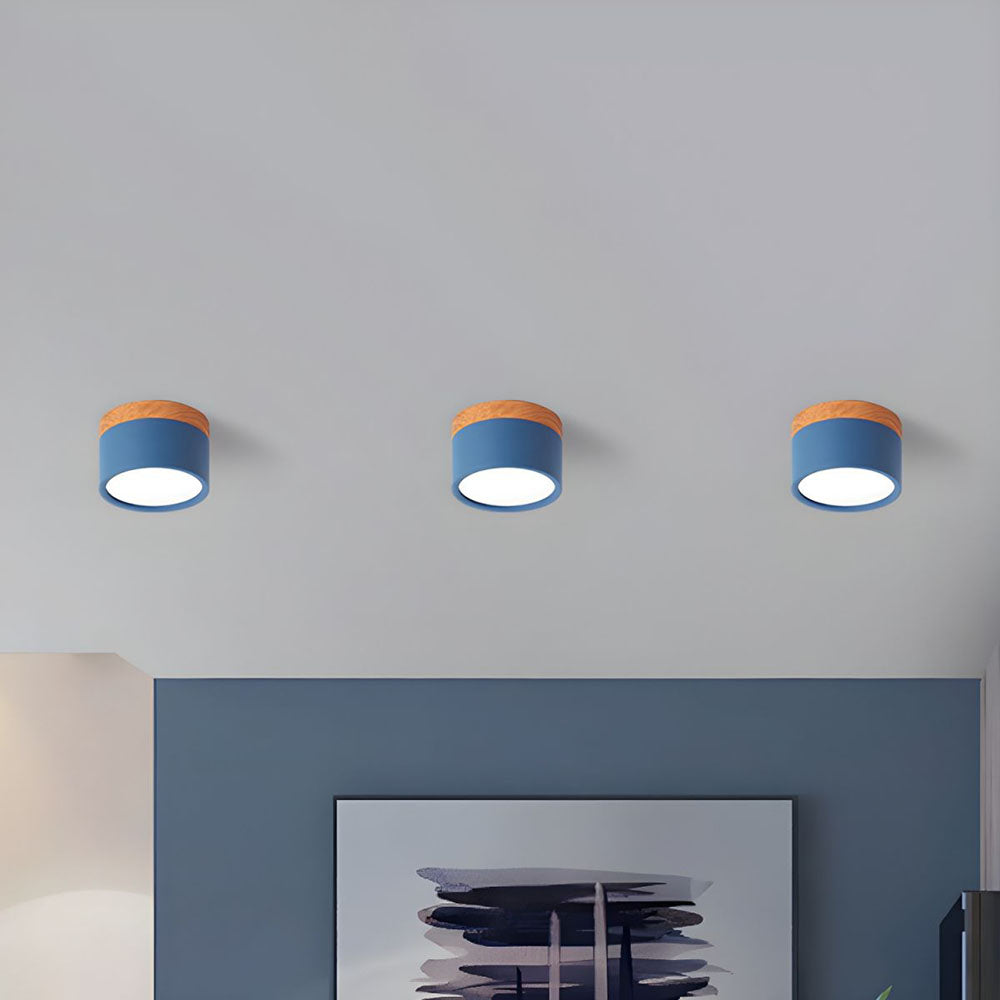 Cylinder Small Ceiling Light