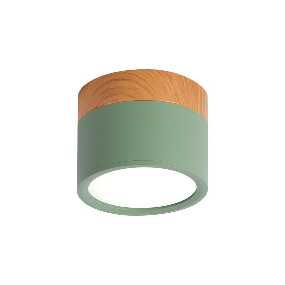 Cylinder Small Ceiling Light
