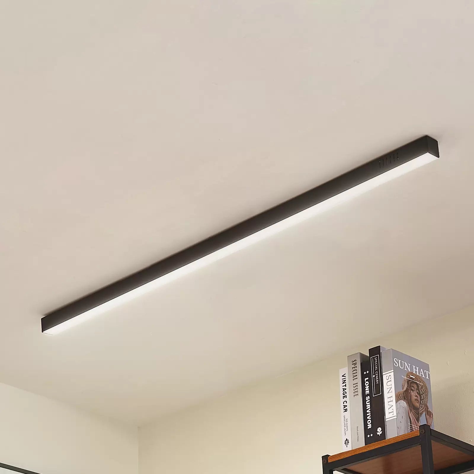 Linestrip Ceiling Light
