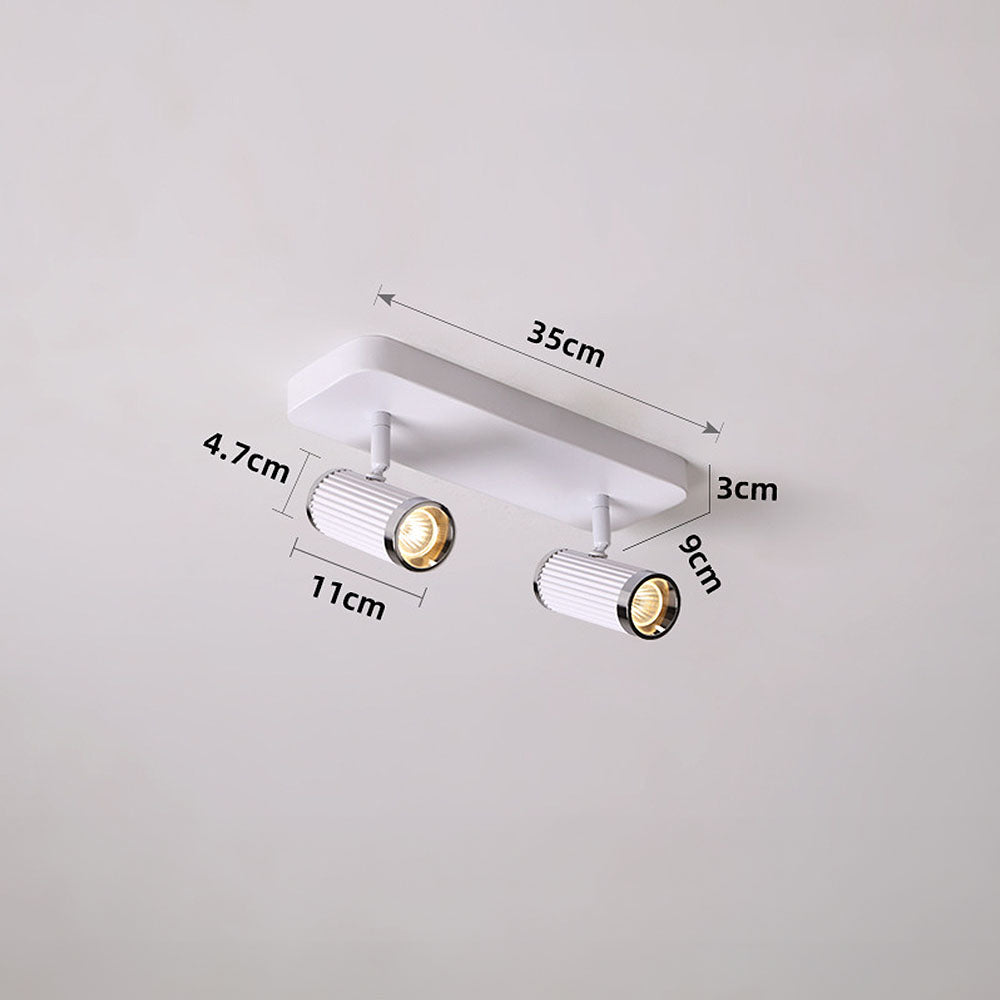 Celzilo Ceiling Light