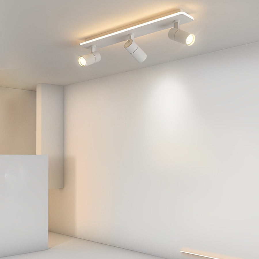Triccon Ceiling Light