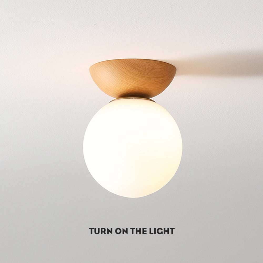 Pundo Ceiling Light