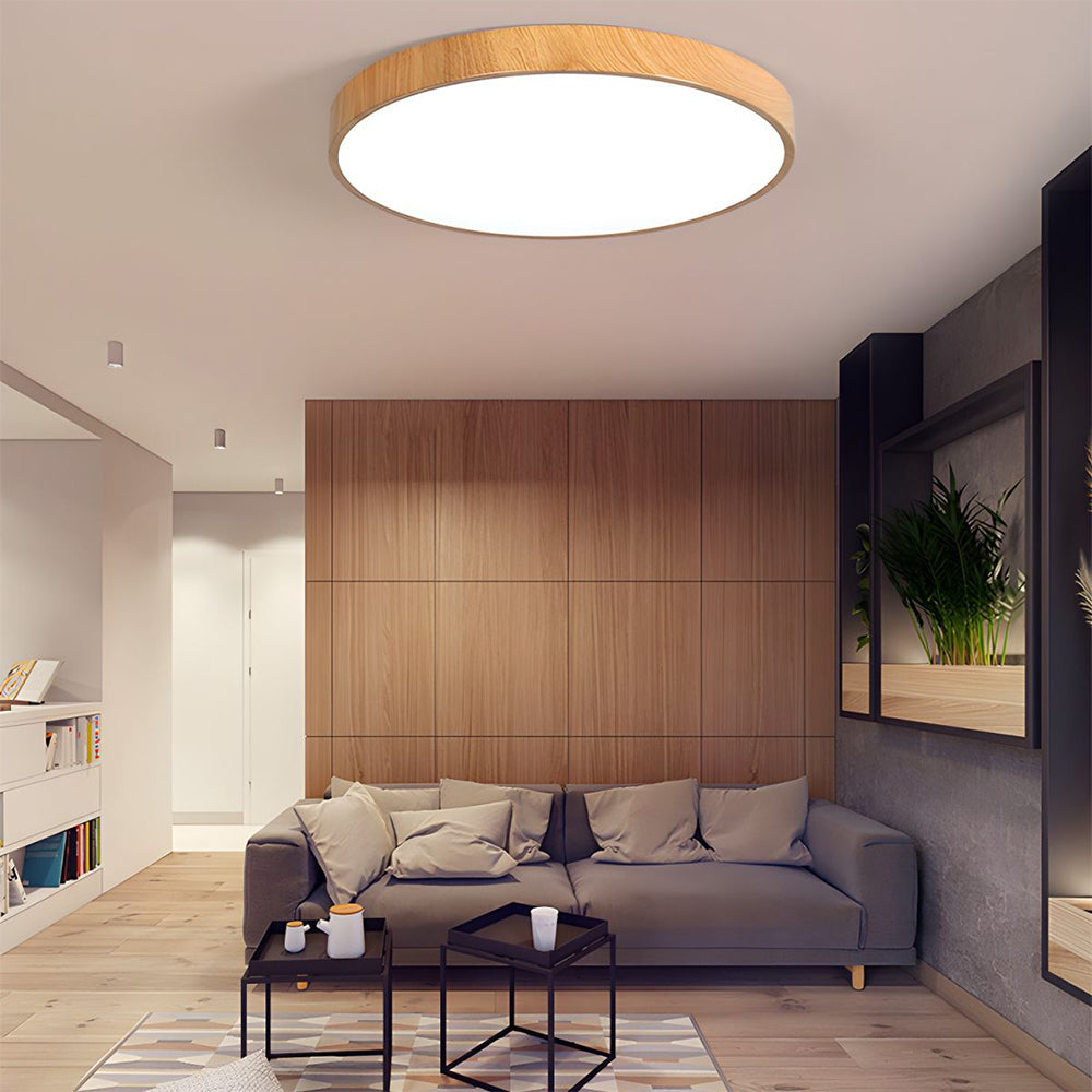 Concize Disc Ceiling Light