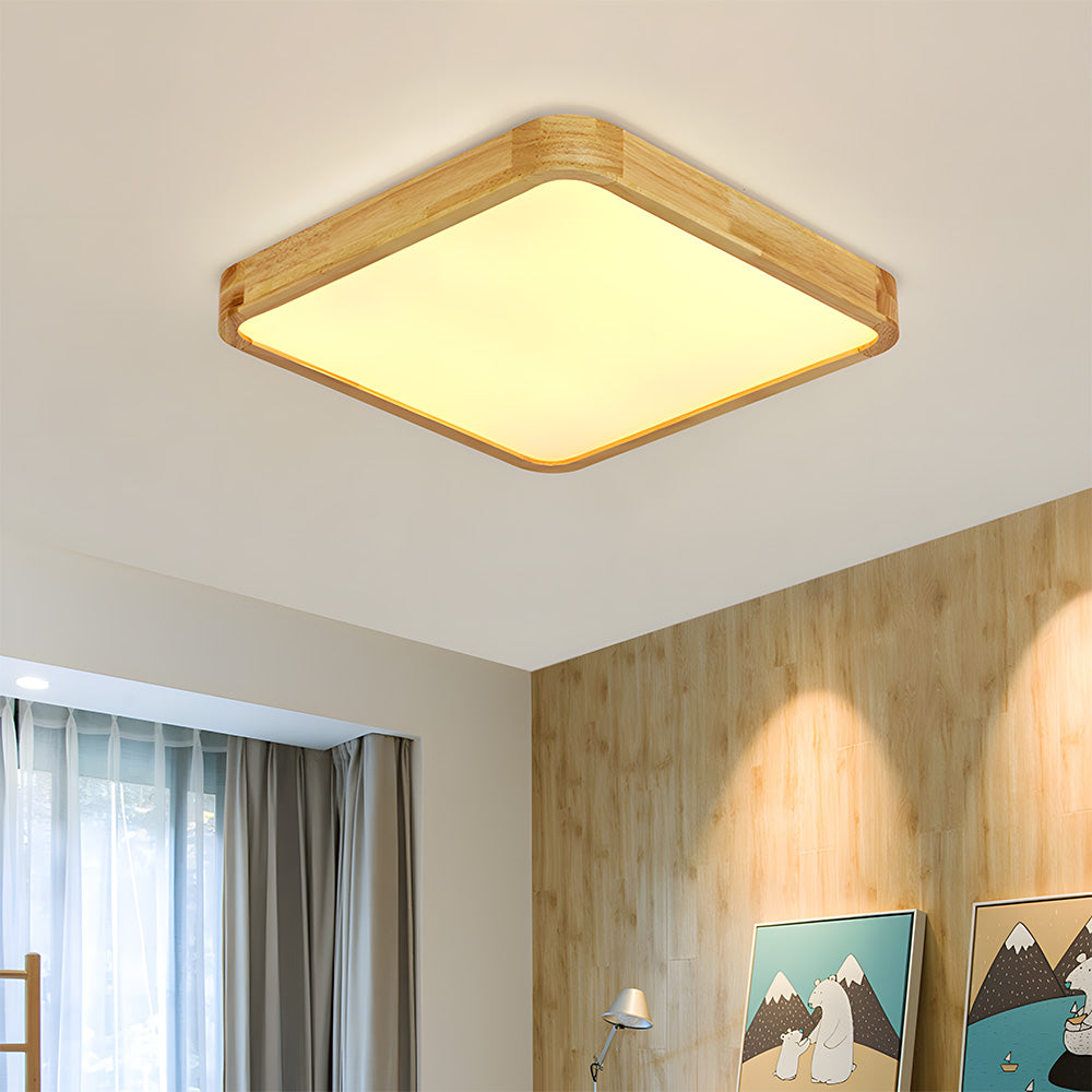 Erlivon Ceiling Light