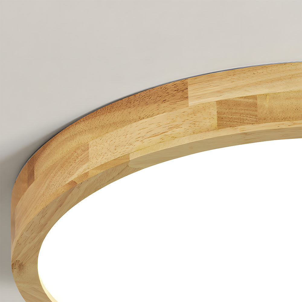 Erlivon Ceiling Light