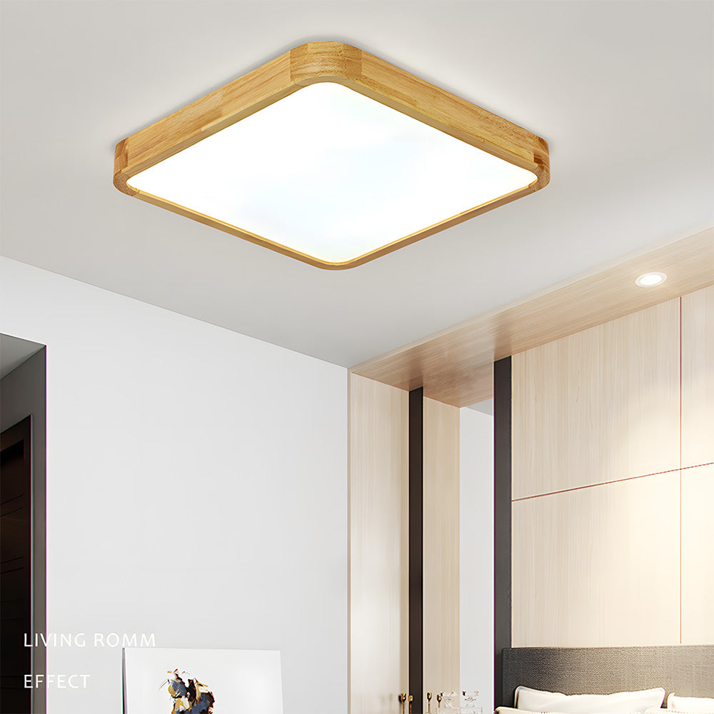 Erlivon Ceiling Light