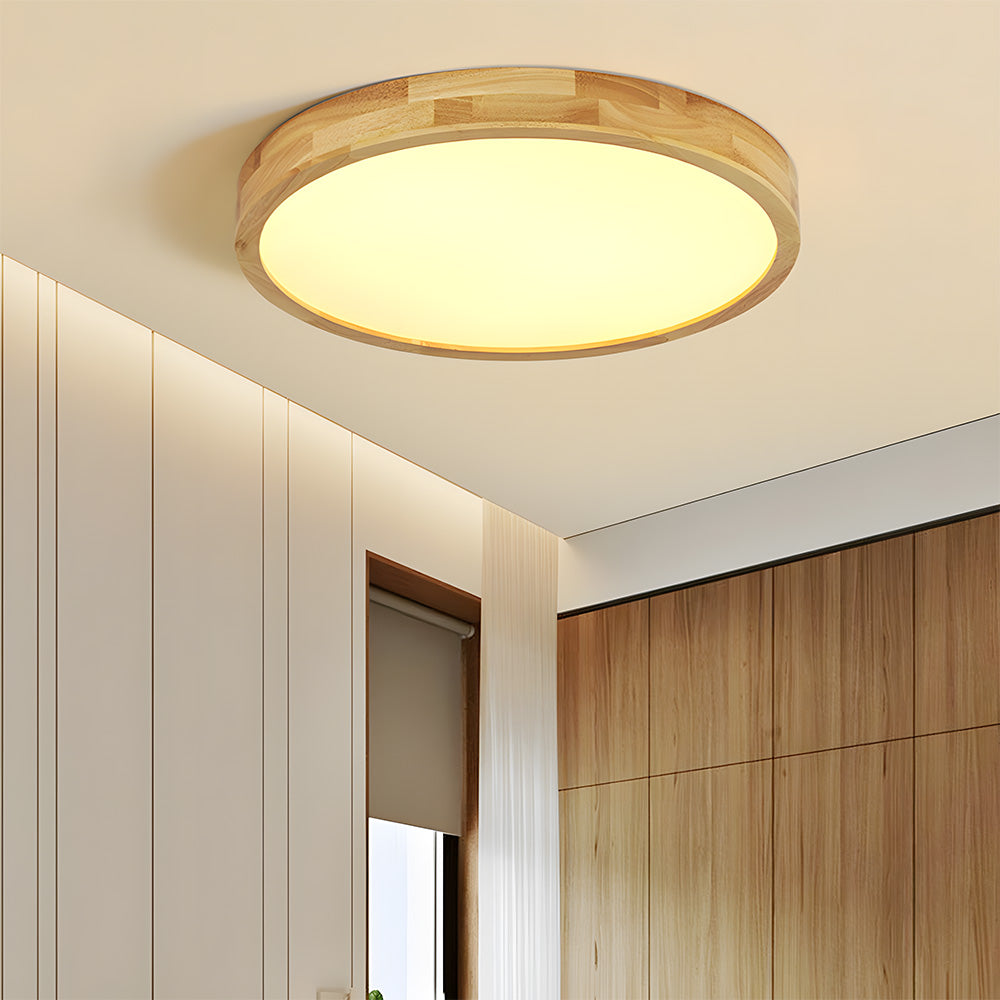Erlivon Ceiling Light