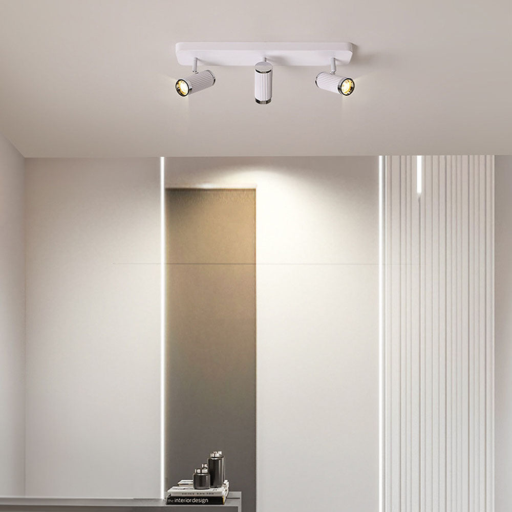 Celzilo Ceiling Light