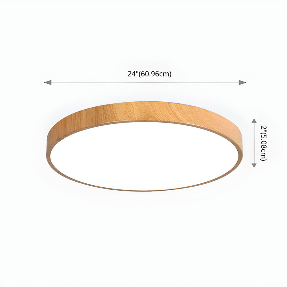 Concize Disc Ceiling Light