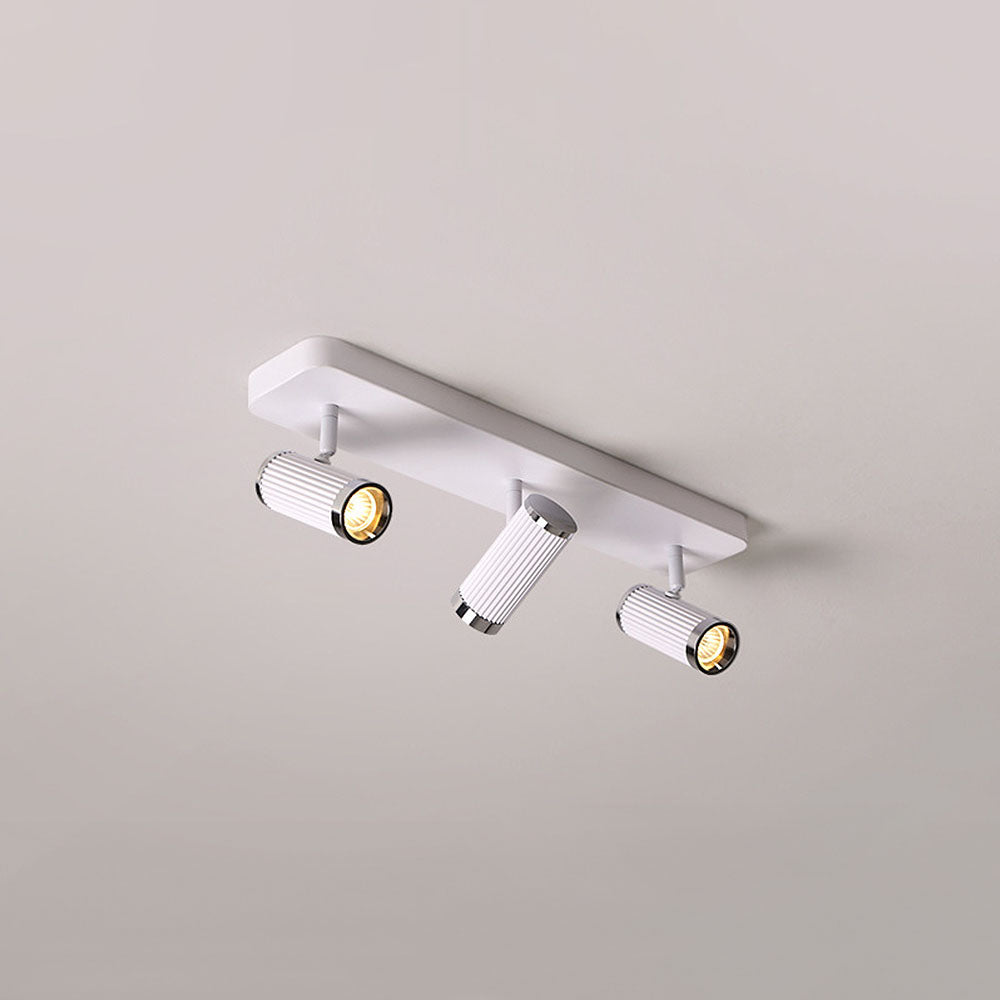 Celzilo Ceiling Light