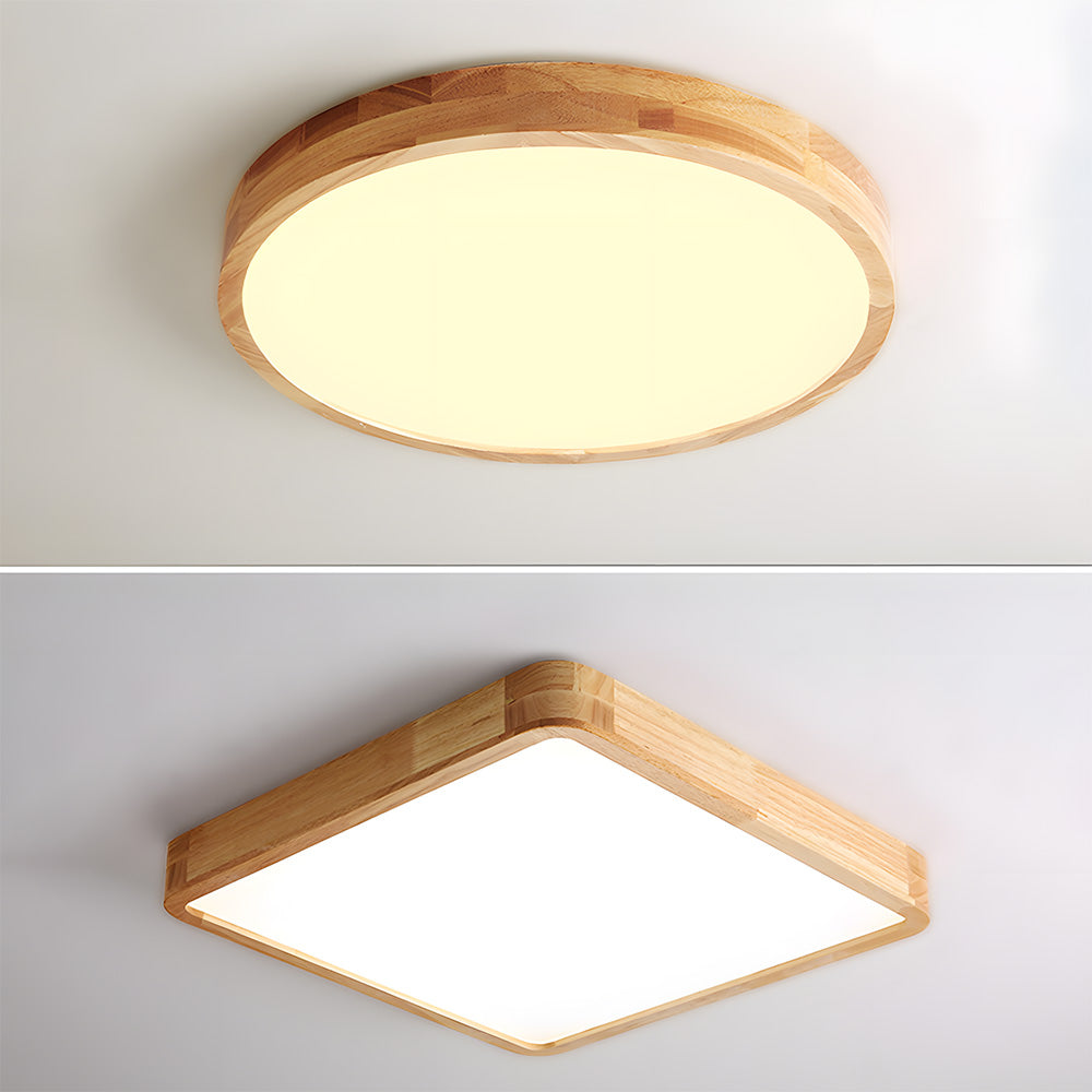 Erlivon Ceiling Light