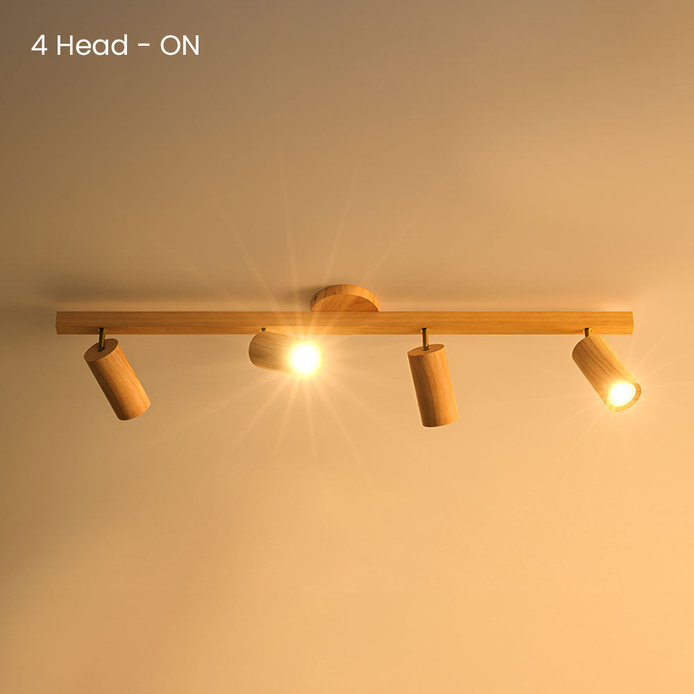 Metoza Ceiling Light