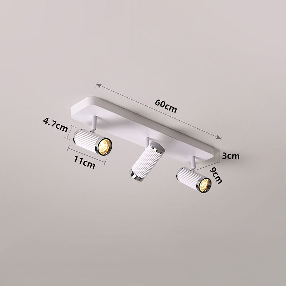 Celzilo Ceiling Light