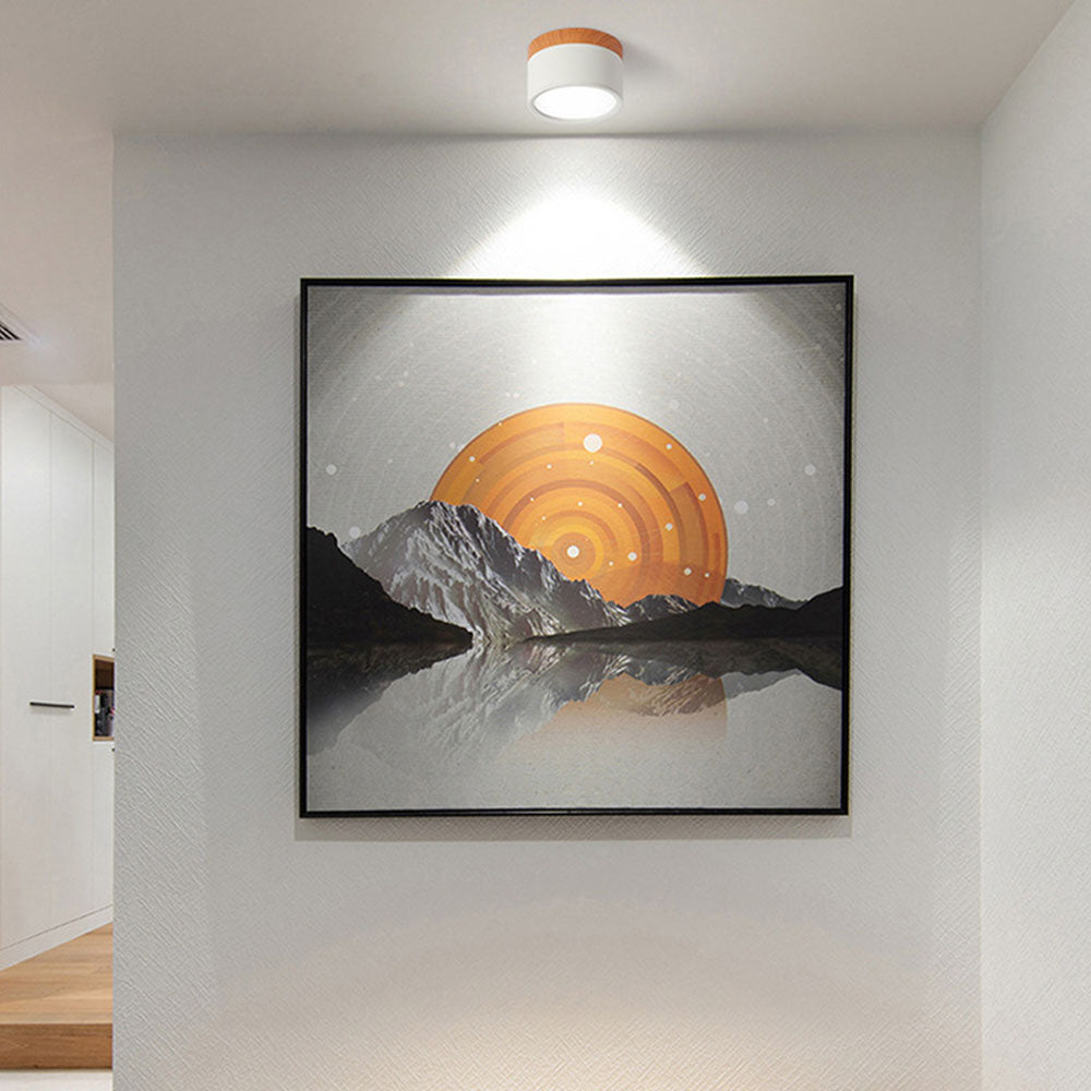 Cylinder Small Ceiling Light