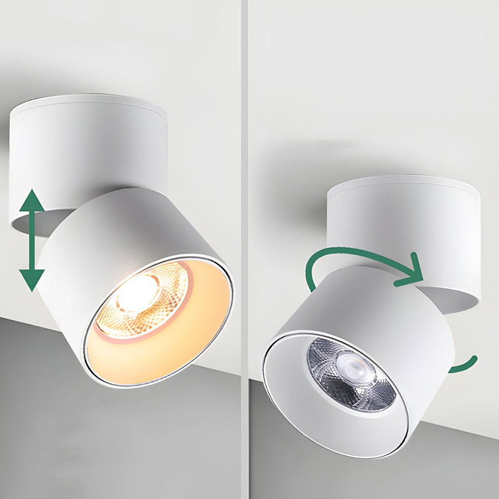 Velori Ceiling Light