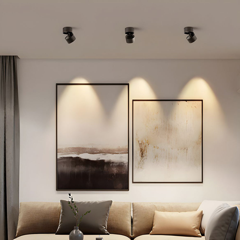 Velori Ceiling Light