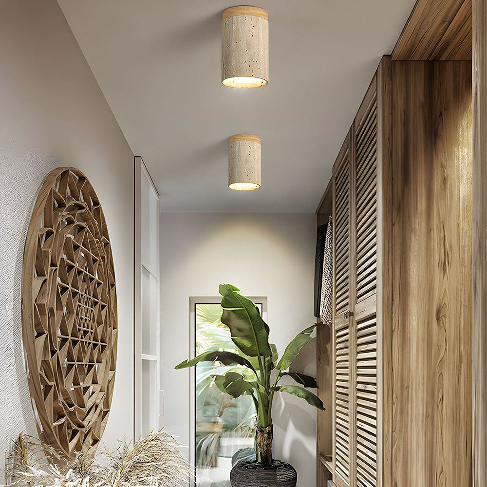 Cilestic Ceiling Light
