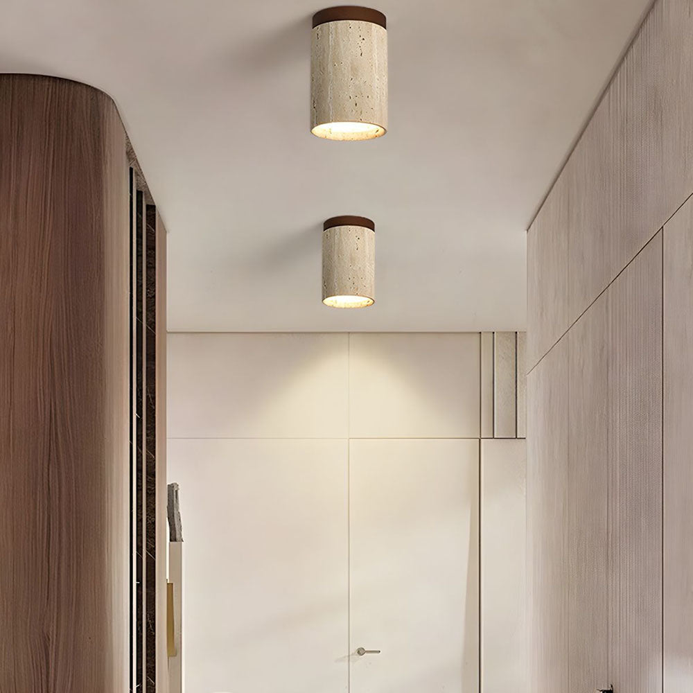 Cilestic Ceiling Light
