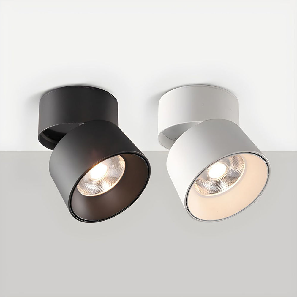 Velori Ceiling Light