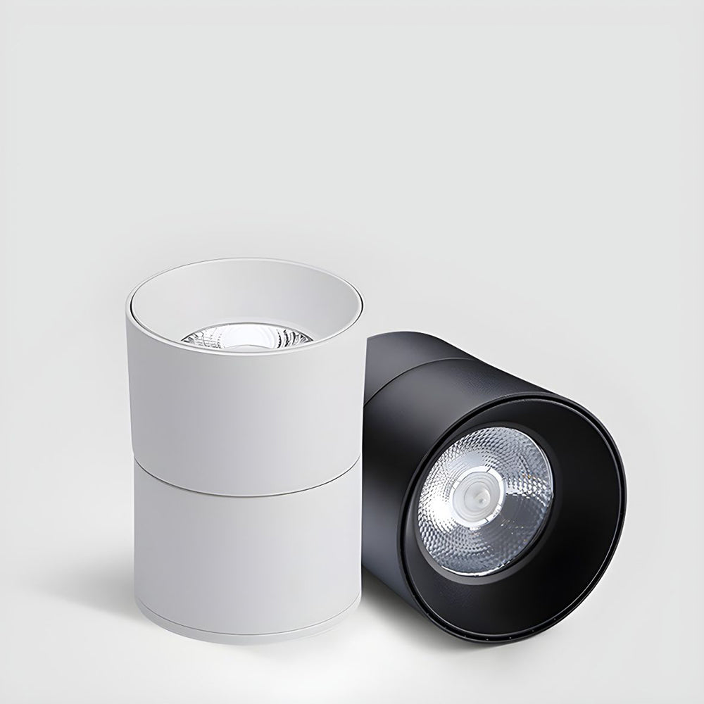 Velori Ceiling Light
