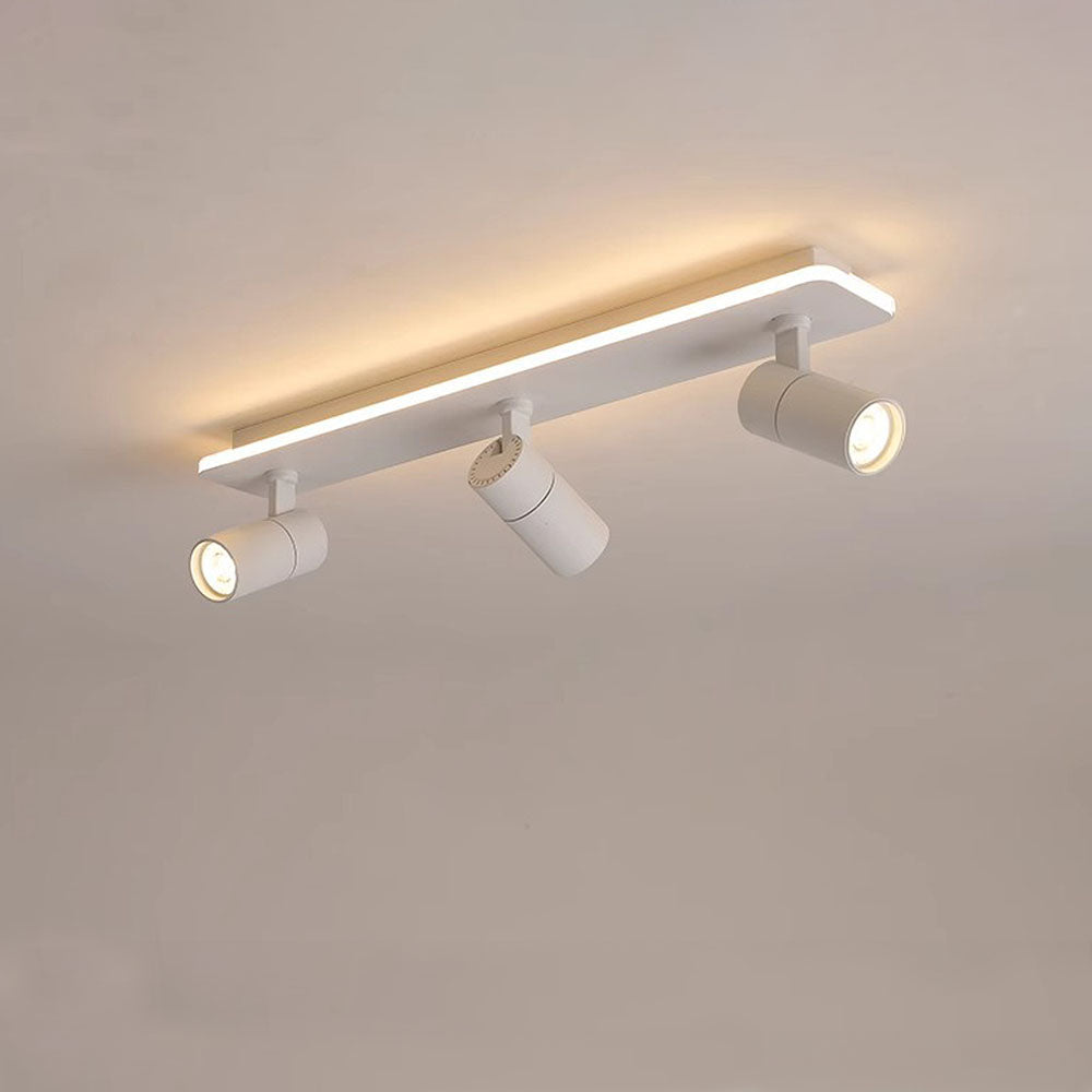 Triccon Ceiling Light