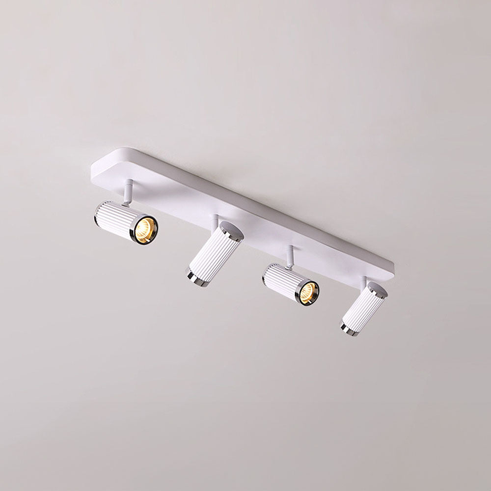 Celzilo Ceiling Light