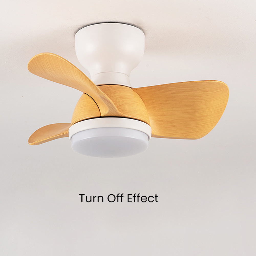 Zareni LED Ceiling Fan