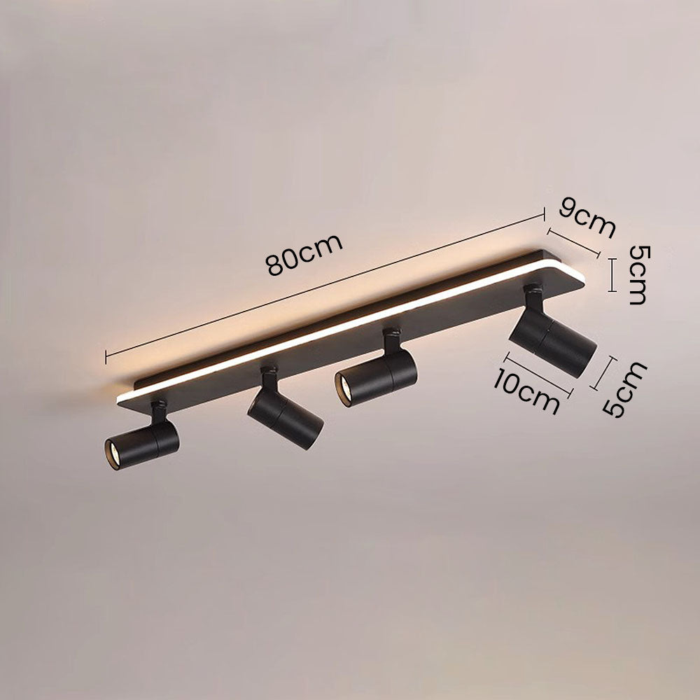 Triccon Ceiling Light