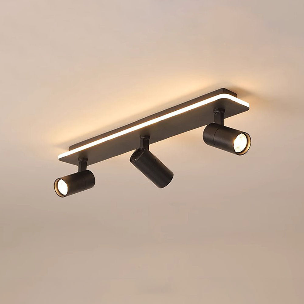 Triccon Ceiling Light