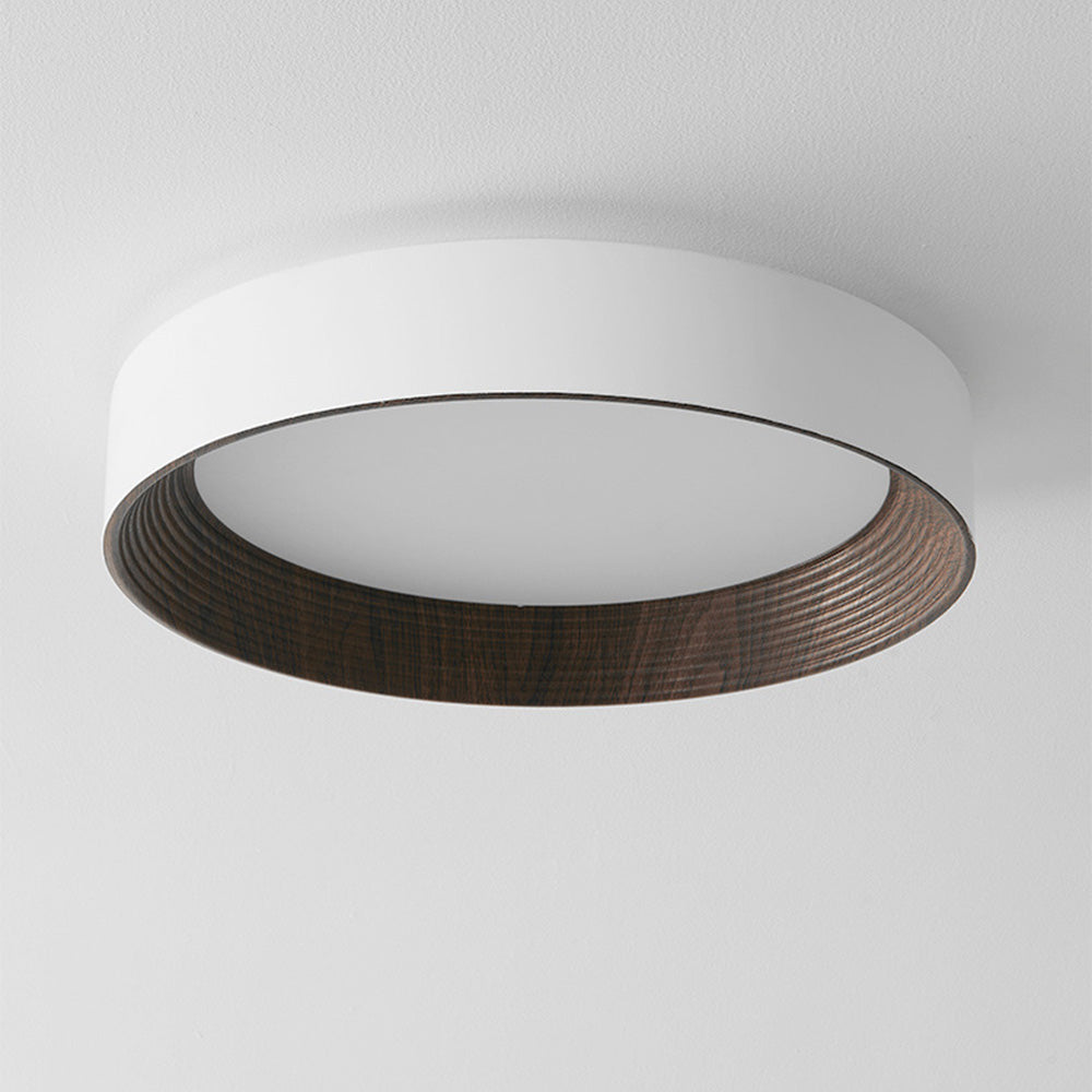 Loquin Ceiling Light