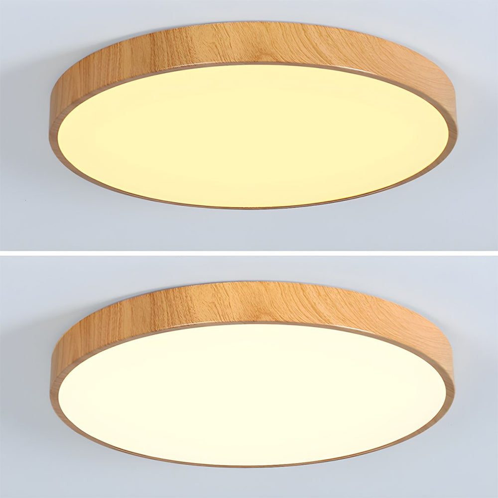 Concize Disc Ceiling Light