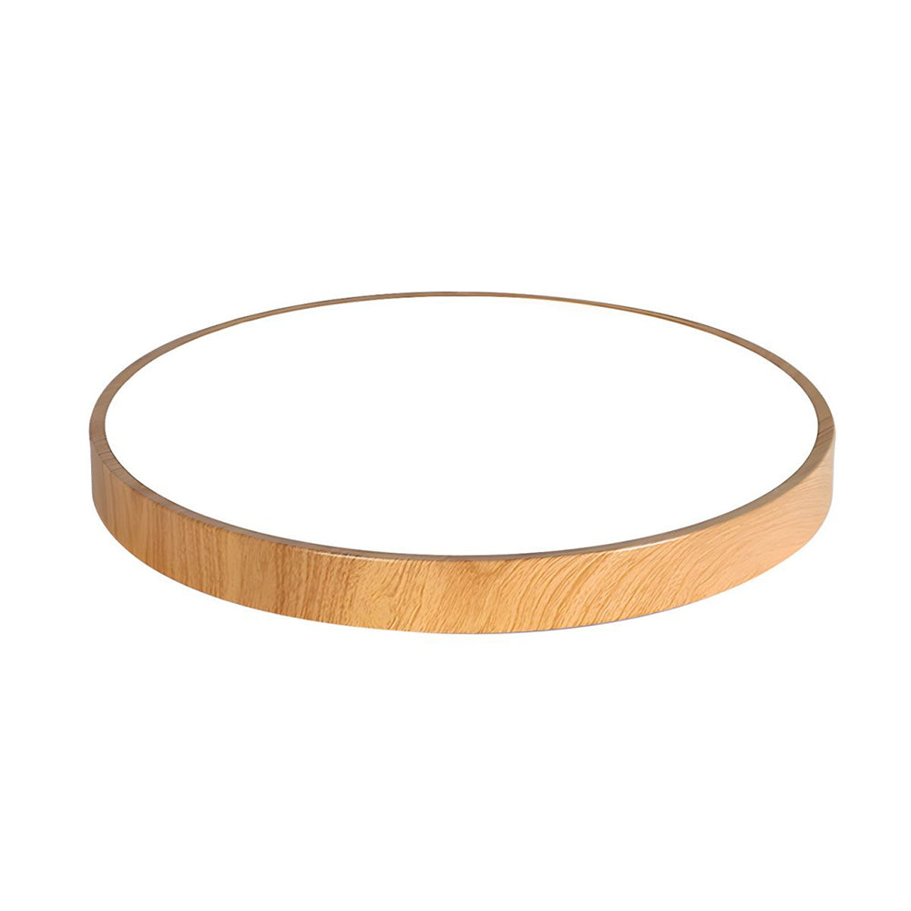 Concize Disc Ceiling Light