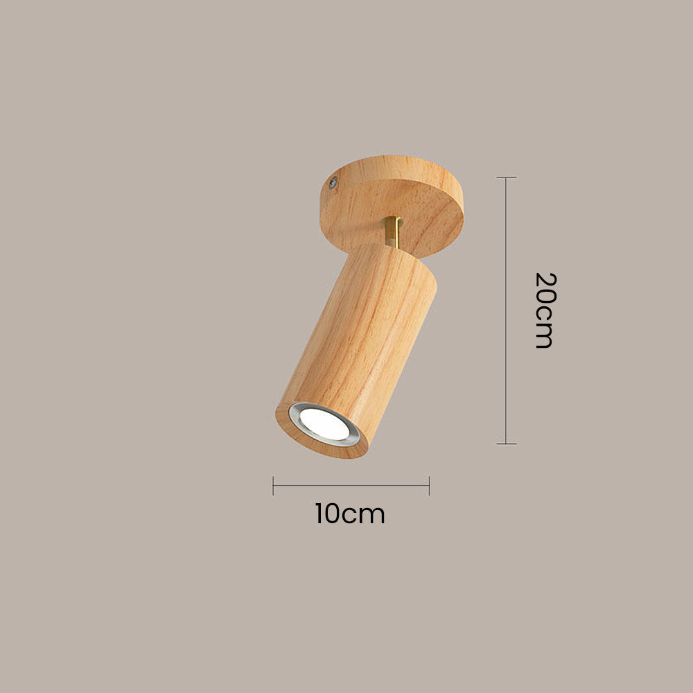 Metoza Ceiling Light