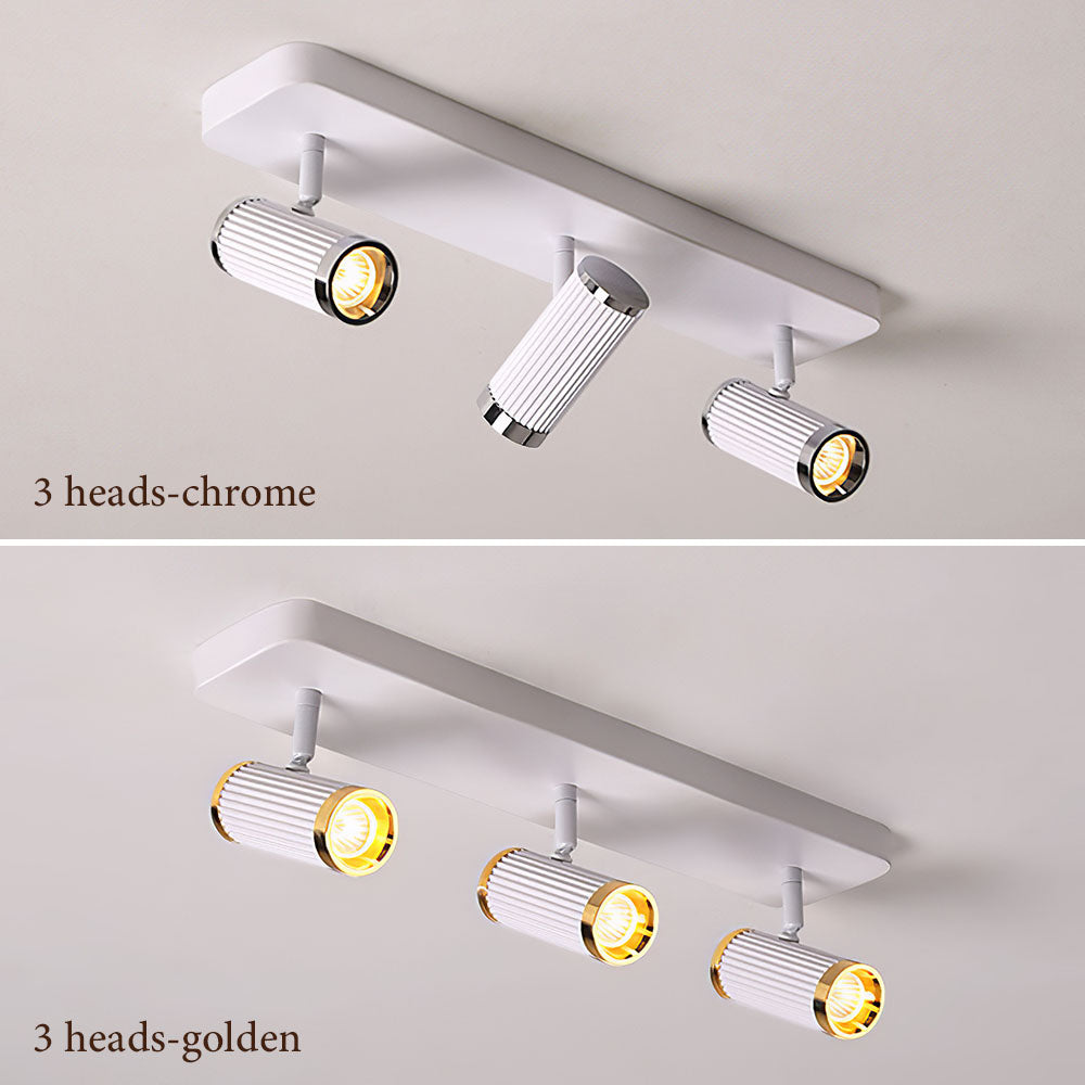 Celzilo Ceiling Light