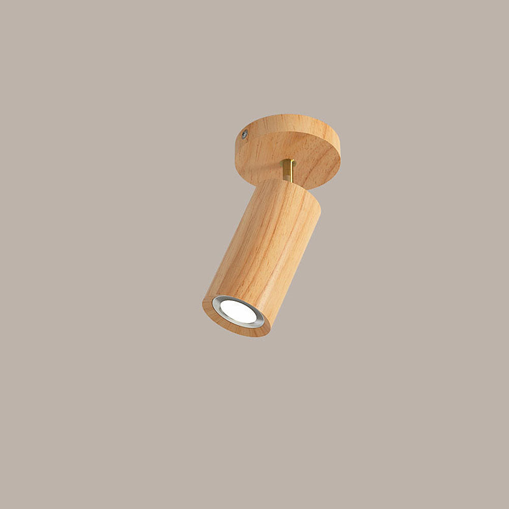 Metoza Ceiling Light