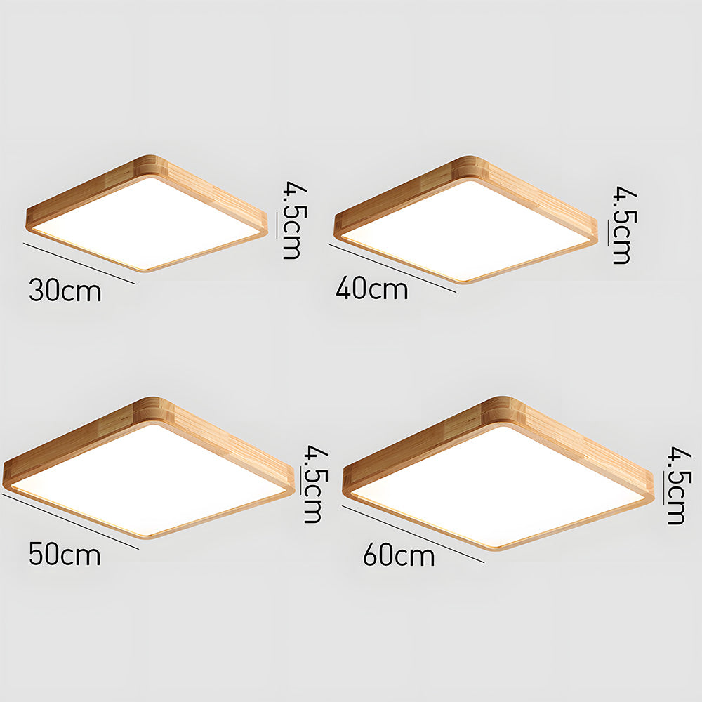 Erlivon Ceiling Light