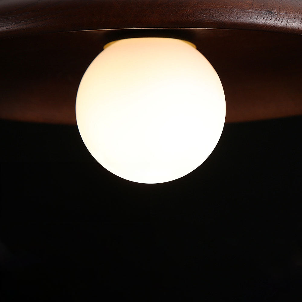 Losnero Ceiling Light