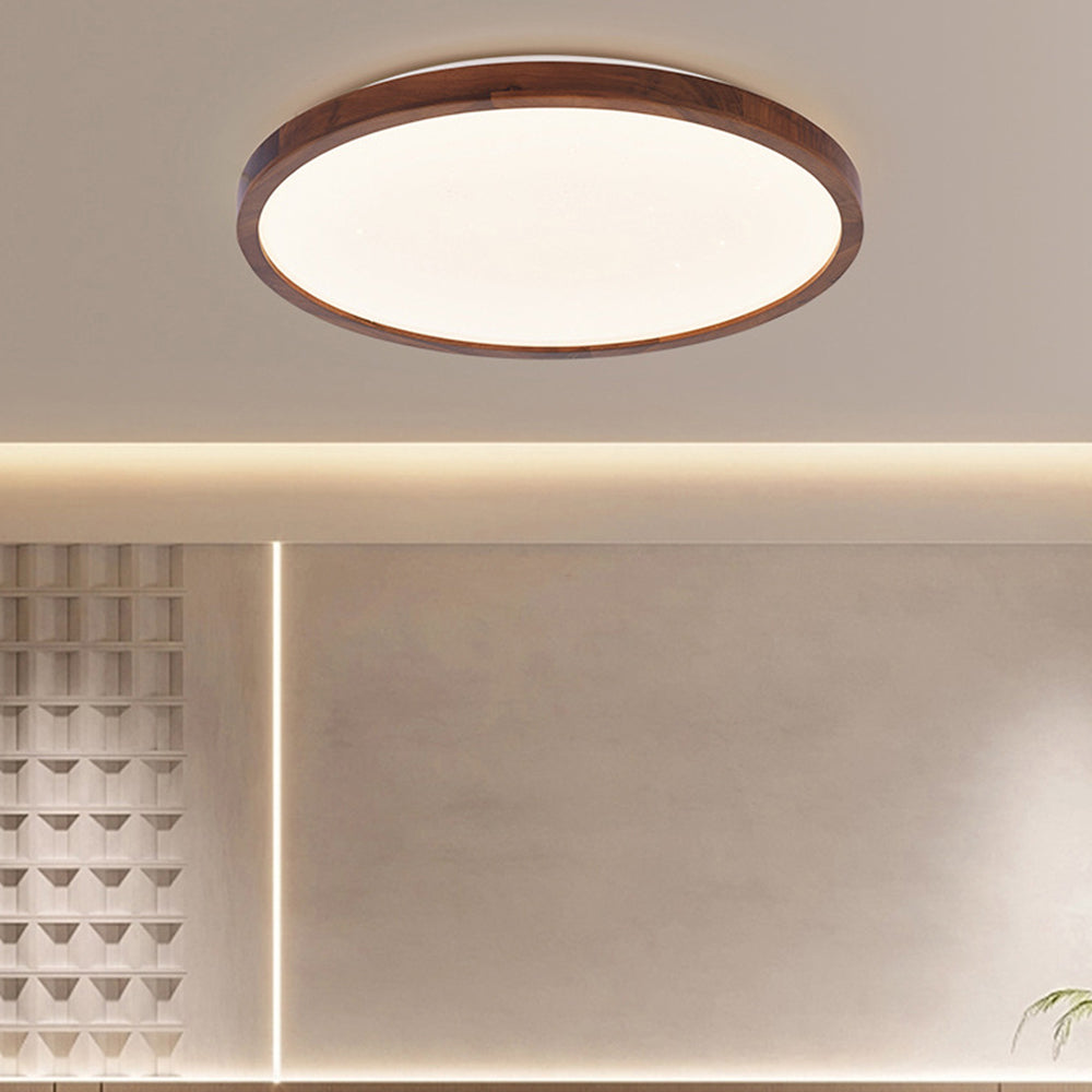Tenzio Moon Design Ceiling Light